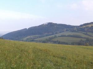 Prodej pole, Rajnochovice, 13124 m2