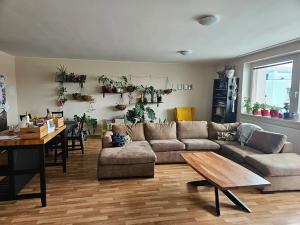 Pronájem bytu 3+kk, Pardubice, třída Míru, 118 m2