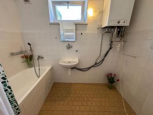 Pronájem bytu 1+1, Frýdek-Místek, Petra Cingra, 44 m2