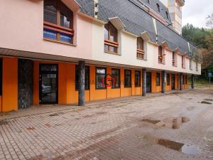 Prodej obchodního prostoru, Ostrava, U Staré elektrárny, 533 m2