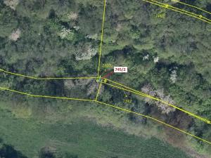 Dražba lesa, Zubrnice, 5 m2