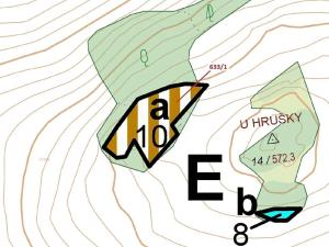 Dražba lesa, Bednáreček, 2802 m2