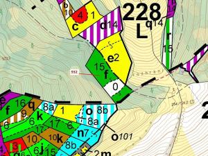 Dražba lesa, Rabí, 7006 m2