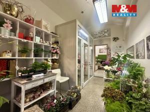 Pronájem obchodního prostoru, Praha - Vinohrady, Francouzská, 29 m2