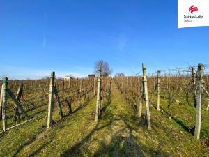 Prodej komerčního pozemku, Bzenec, 1748 m2