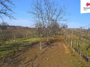 Prodej komerčního pozemku, Bzenec, 1748 m2