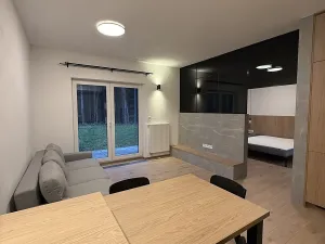 Pronájem bytu 2+kk, Mariánské Lázně, Chebská, 56 m2
