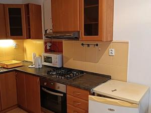 Pronájem bytu 1+1, Praha - Staré Město, U milosrdných, 41 m2