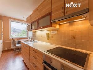 Pronájem bytu 3+1, Olšany, 76 m2