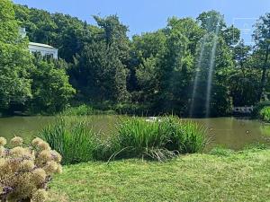 Pronájem bytu 1+kk, Praha - Malešice, Ungarova, 36 m2