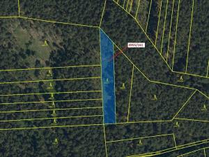 Dražba lesa, Vracov, 1702 m2