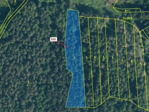 Dražba lesa, Kovčín, 3476 m2