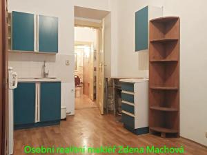 Pronájem bytu 1+kk, Praha - Žižkov, Žerotínova, 19 m2