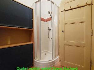 Pronájem bytu 1+kk, Praha - Žižkov, Žerotínova, 19 m2