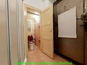 Pronájem bytu 1+kk, Praha - Žižkov, Žerotínova, 19 m2