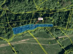 Dražba lesa, Hovězí, 1252 m2