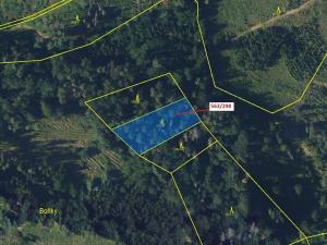 Dražba lesa, Spešov, 1372 m2