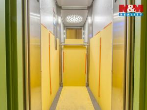 Pronájem bytu 3+kk, Praha - Karlín, U Sluncové, 65 m2