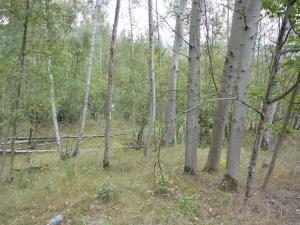 Prodej zahrady, Liberec, 1233 m2