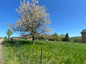 Prodej pozemku pro bydlení, Hamr na Jezeře, 875 m2