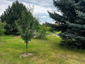 Prodej pozemku pro bydlení, Polepy, Polepy, 1727 m2