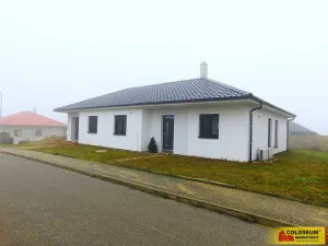 Prodej rodinného domu, Hrušovany nad Jevišovkou, 188 m2