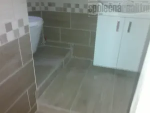 Pronájem bytu 1+kk, Holubice, Na Hrázi, 20 m2