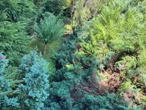 Prodej chalupy, Dlouhý Most, 60 m2