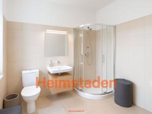 Pronájem bytu 1+kk, Ostrava - Moravská Ostrava, Přívozská, 33 m2