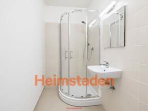 Pronájem bytu 1+1, Frýdek-Místek - Frýdek, K Hájku, 38 m2