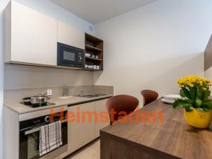 Pronájem bytu 1+kk, Plzeň - Jižní Předměstí, Magisterská, 27 m2