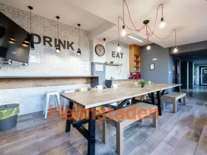 Pronájem bytu 1+kk, Plzeň - Jižní Předměstí, Magisterská, 30 m2