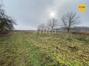 Prodej rodinného domu, Dětřichov u Moravské Třebové, 300 m2