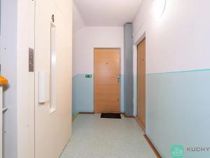 Prodej bytu 1+1, Litvínov, Čapkova, 36 m2