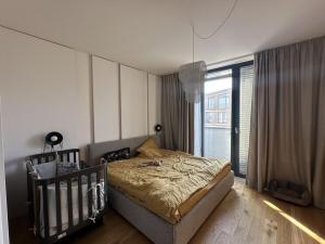 Pronájem bytu 4+kk, Praha - Smíchov, Albrightové, 130 m2