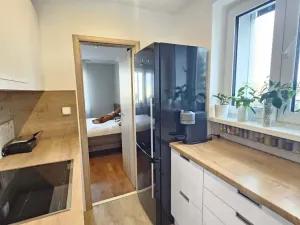 Prodej bytu 2+1, Praha - Záběhlice, Hrusická, 55 m2