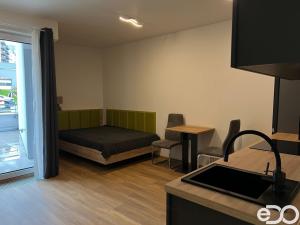 Pronájem bytu 1+kk, Praha, Klapálkova, 31 m2