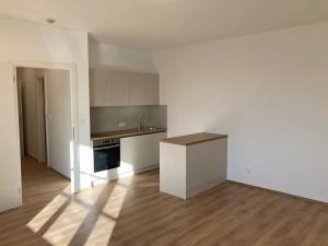Pronájem bytu 1+kk, Praha - Žižkov, Na rovnosti, 50 m2