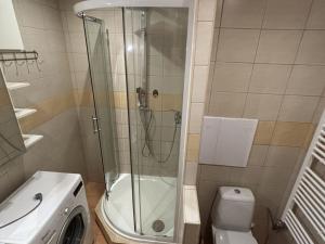 Pronájem bytu 2+kk, Sokolov, Křížová, 40 m2