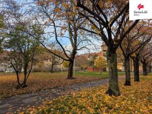 Pronájem bytu 2+kk, Praha - Vysočany, Pod strojírnami, 48 m2