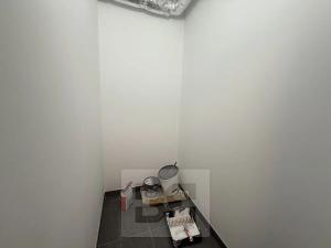 Pronájem bytu 2+kk, Praha - Žižkov, Olgy Havlové, 46 m2