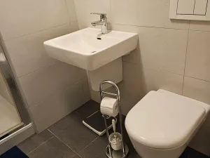 Pronájem bytu 1+kk, Brno, Stará, 38 m2