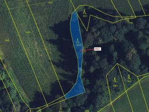 Dražba lesa, Spešov, 500 m2