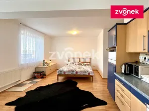 Pronájem bytu 1+kk, Zlín, Voženílkova, 30 m2