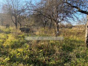 Prodej chalupy, Číměř - Nová Ves, 3602 m2