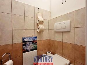 Pronájem bytu 2+1, České Budějovice - České Budějovice 3, 66 m2