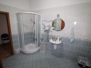 Pronájem pokoje, České Budějovice - České Budějovice 3, Holečkova, 85 m2