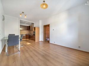 Pronájem bytu 2+kk, Plzeň, Vrchlického, 46 m2