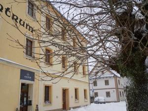 Prodej komerční nemovitosti, Branná, 41 m2