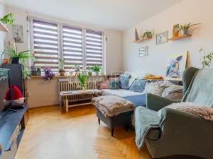 Prodej bytu 2+1, Písek - Budějovické Předměstí, Budějovická, 51 m2